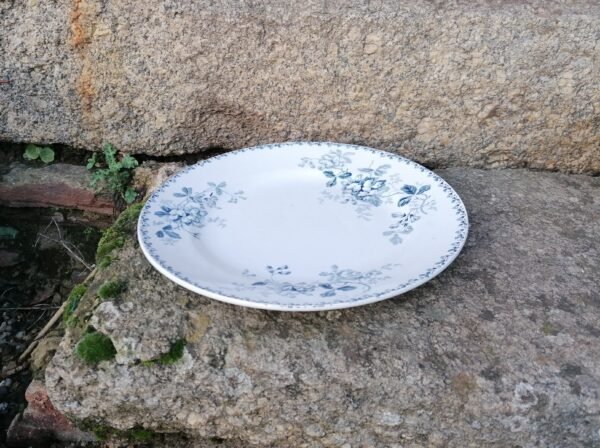 Plat Acacia