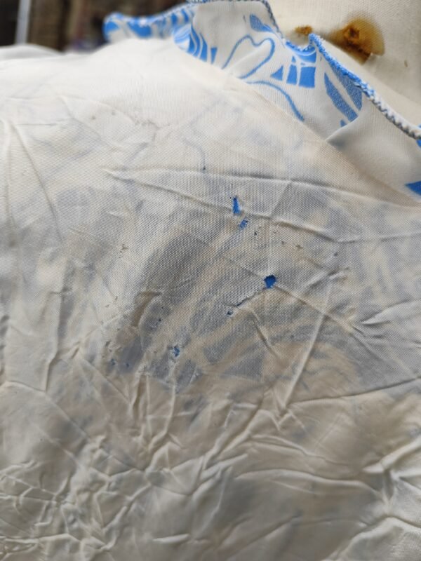 Robe bleue – Image 13